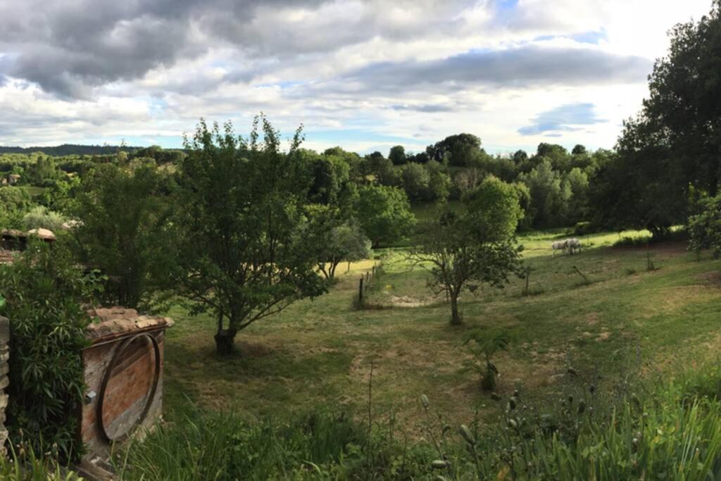 Gite Cocotte Luberon, Forcalquier Pierrerue  Zewnętrze zdjęcie